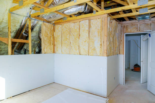 Best Insulation Maintenance and Repair in Rochester, IL