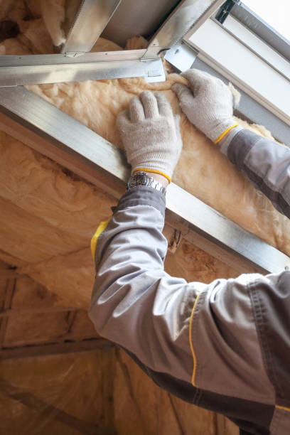 Best Residential Insulation in Rochester, IL